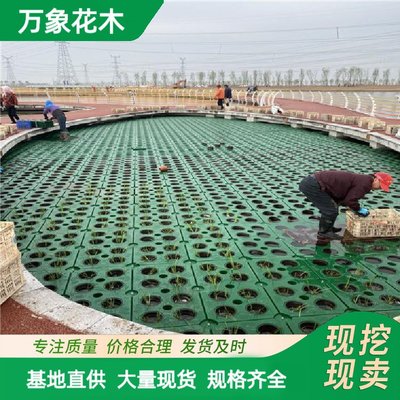 生態浮島在河道水面綠化與水環境治理中的應用