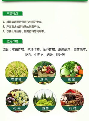 生物放線菌在農業種植中的應用 從發酵肥料配置到有機肥銷售的全產業鏈探索